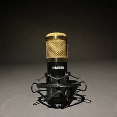 BM 800 microphone with arm in low price