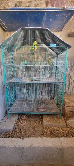 3 portion cage