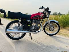 honda 2021 model all Punjab number