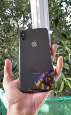 iPhone Xs Max  -  256GB