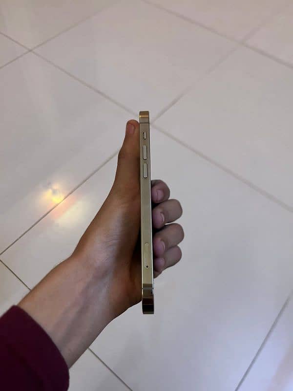 iphone 12 pro all okay waterpack for sale. . . . . . 7