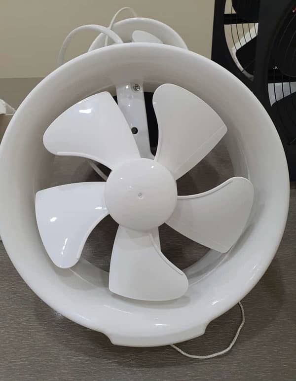 Crescent Gold Fan 5