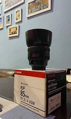 Canon 85mm 1.2 The Bokeh Beast