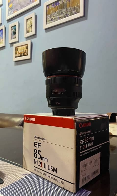 Canon 85mm 1.2 The Bokeh Beast 0