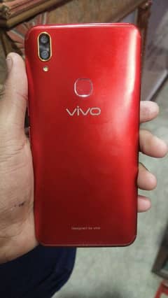 vivo