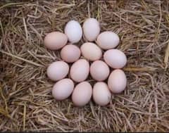 Fresh Desi eggs for sale with good weight