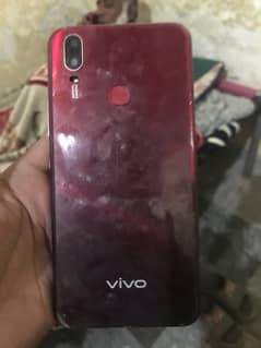 vivo