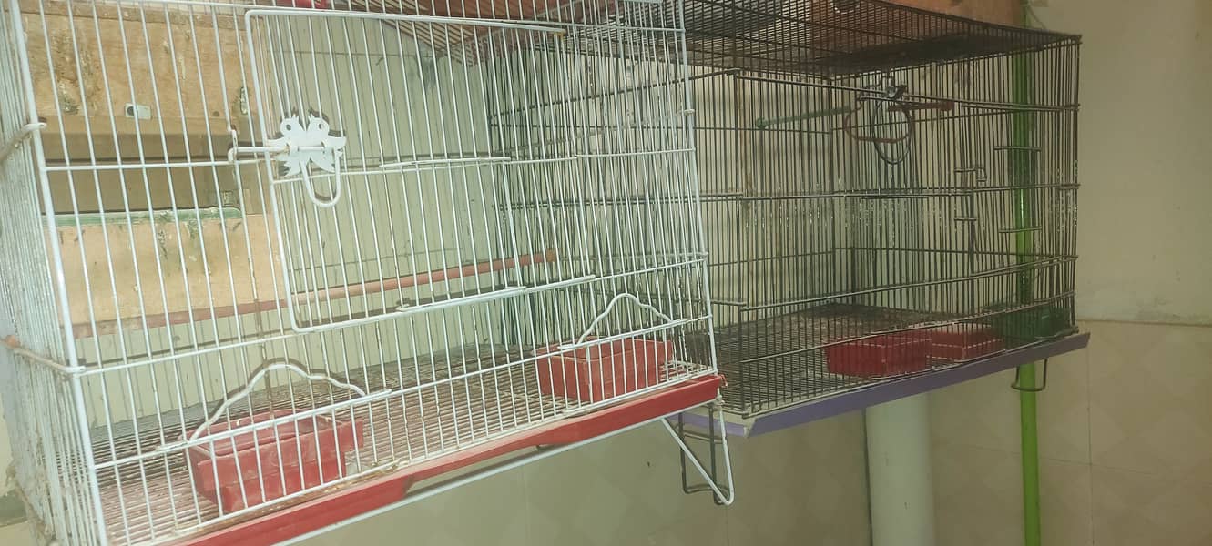 Cocktail, Cages , Boxes for sale home setup 0