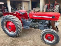 Massey Ferguson 135  |   1979 model