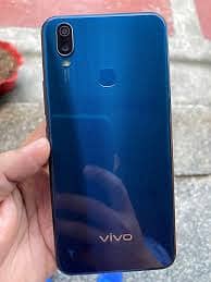 VIVO