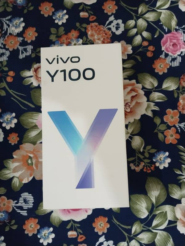 Vivo Y100 (8GB-256GB) 1