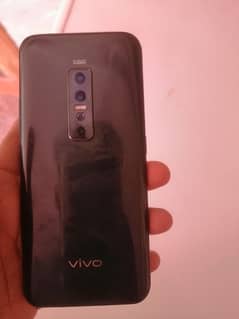 vivo.