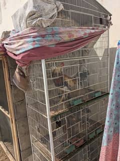 birds cage 4 Story for sale