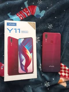 vivo