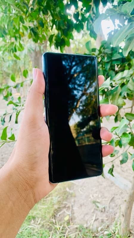 Samsung S10 plus 512 GB 13