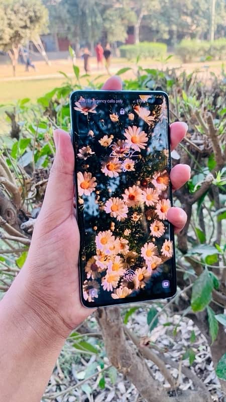 Samsung S10 plus 512 GB 14