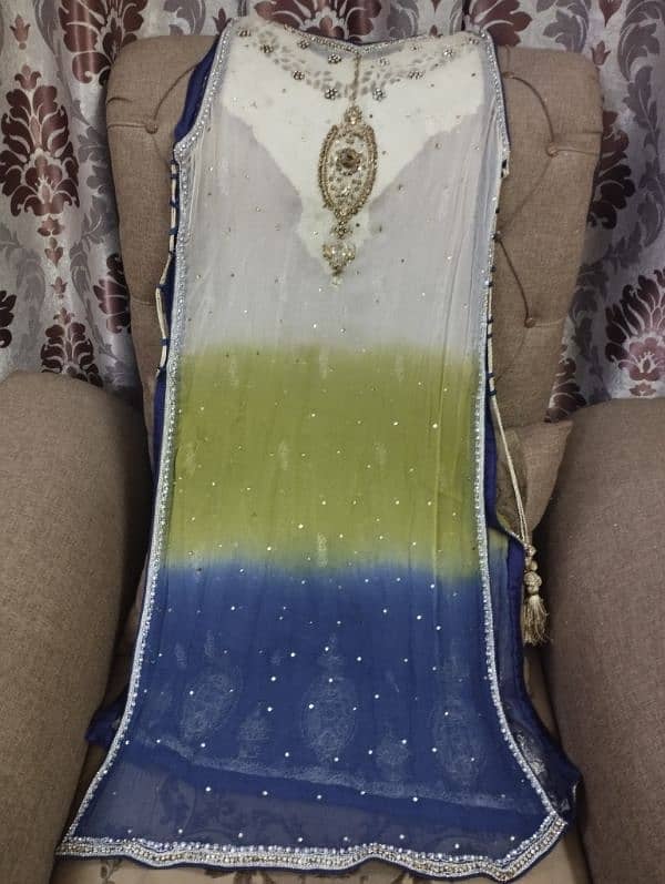 Original shiffon dress with slip, dubbata and sharara 3