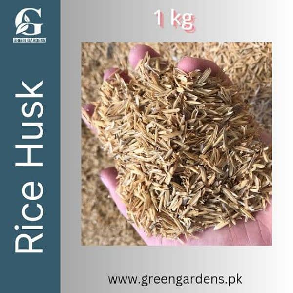 Rice Husk ( chilka ) 0