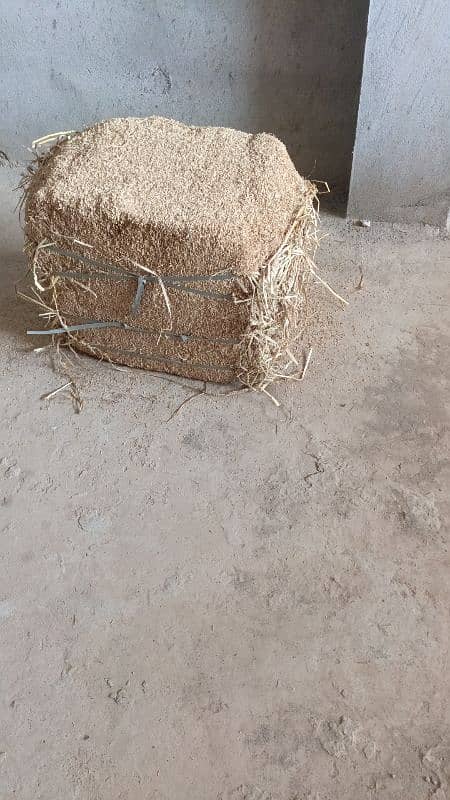 Rice Husk ( chilka ) 1