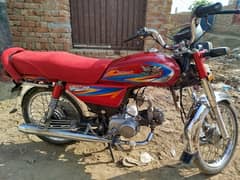 Road Prince RP 70 Passion 2021