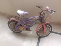 ferozen bady bicycle