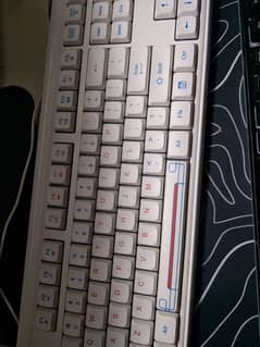 White Full Membrane Keyboard 100% Keyboard 100%. Accurate Selller