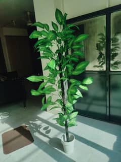 Artificial Plant