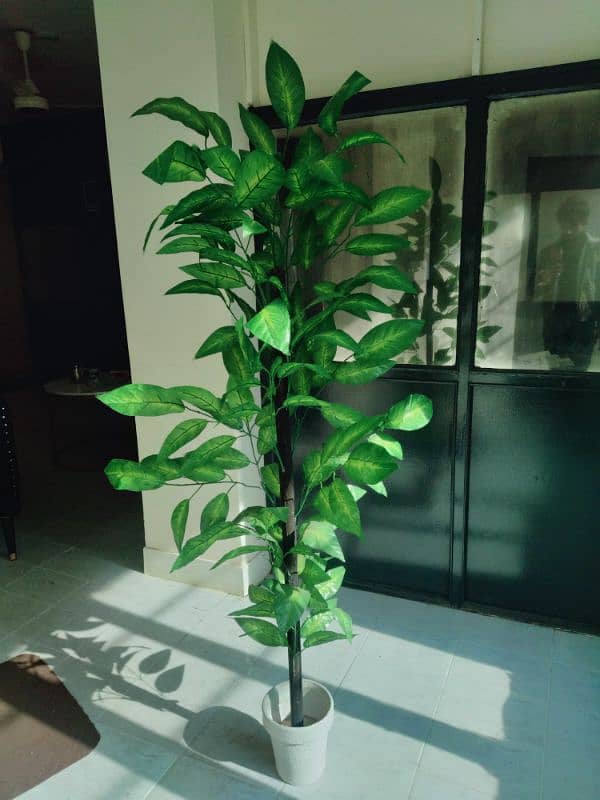 Artificial Plant 1