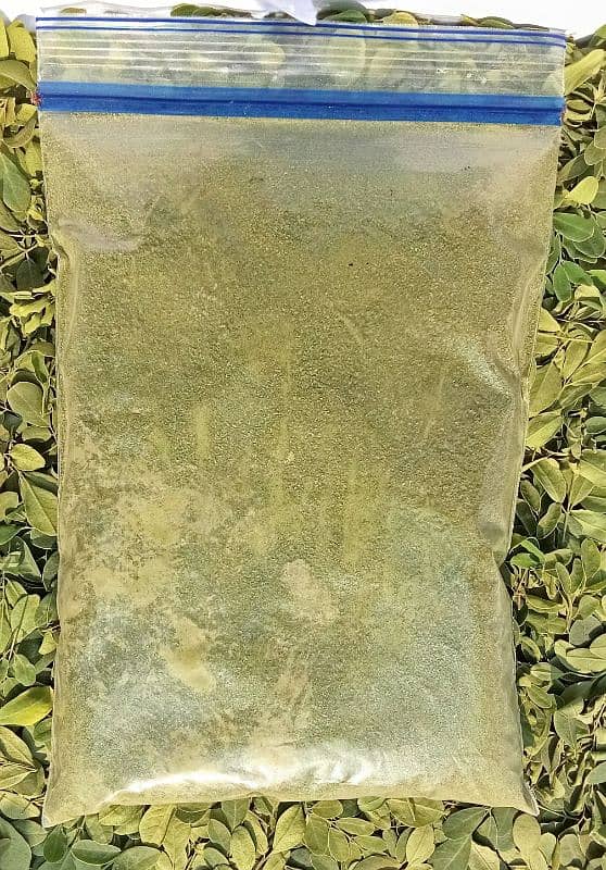 moringa powder 1