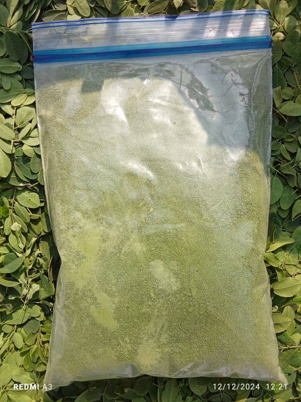 moringa powder 2