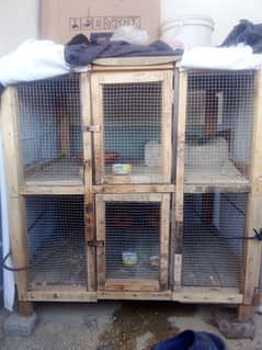 cage wood made. 1 month used. whatsaap 03110951981