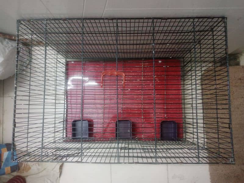 Cage Available in Just like New Condition 4