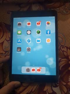 ipad Mini 2 everything in working condition