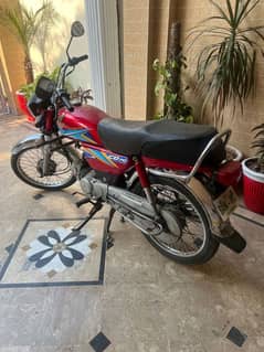 Honda cd 70 2019