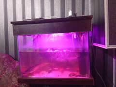 Aquarium for sale