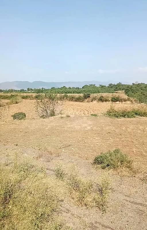 24 Kanal Commercial Land Available For Sale 0