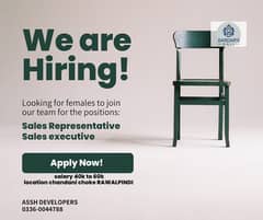 sales executive