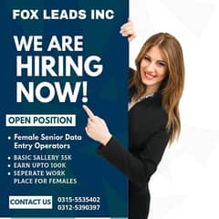 We are Hiring Senior Data Entry Operators