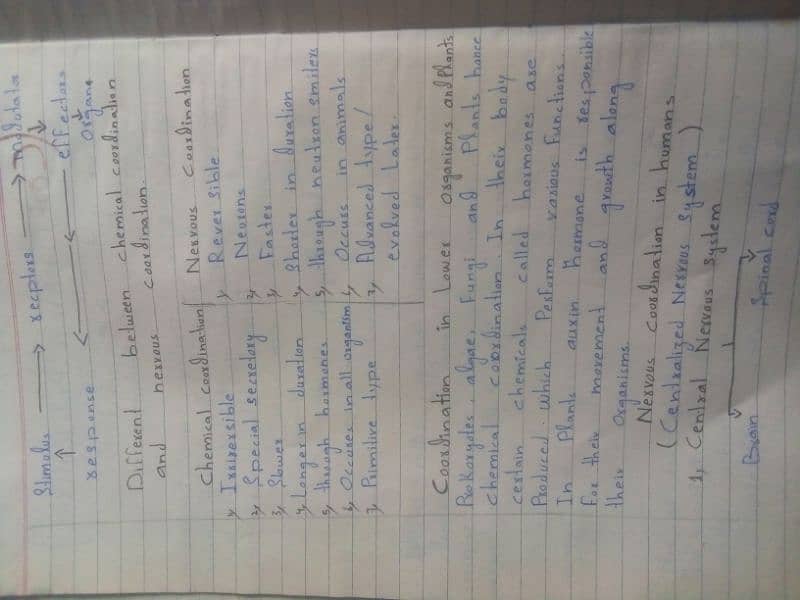 handwriting assignment work 0