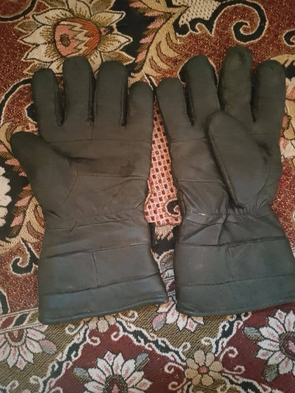 Leather Gloves 0