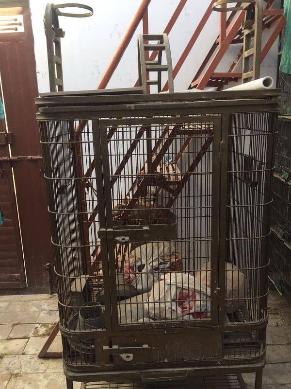 Cage for sale 3