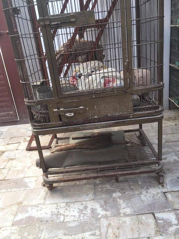 Cage for sale 5