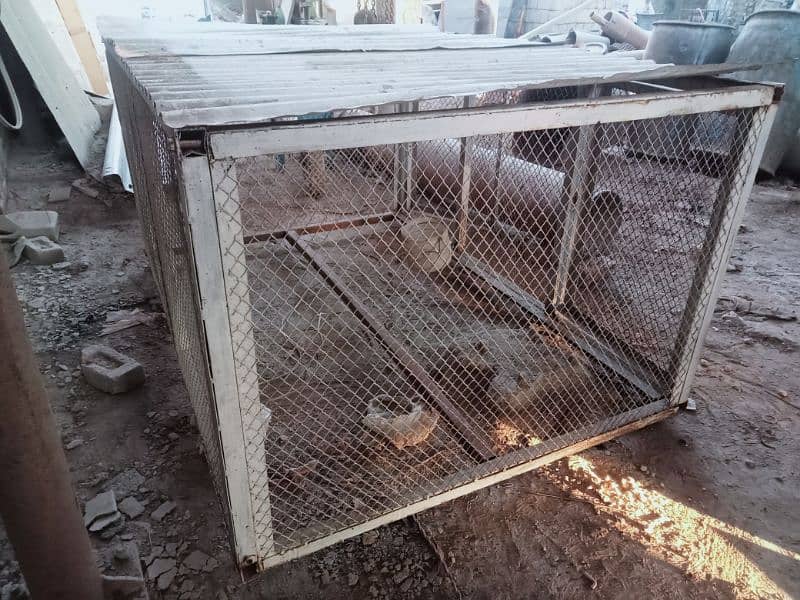 Hen Cage 1