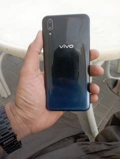 Vivo