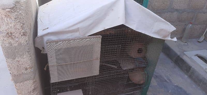 2 portion cage he birds k lie matkiya bhi lgi wi hen 3