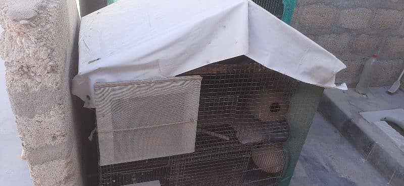 2 portion cage he birds k lie matkiya bhi lgi wi hen 4