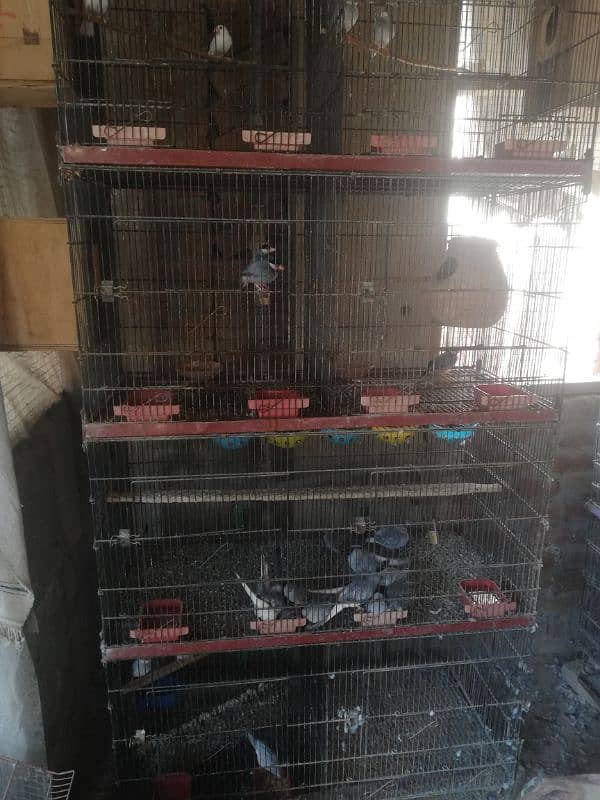 flooding cages, for sale 3