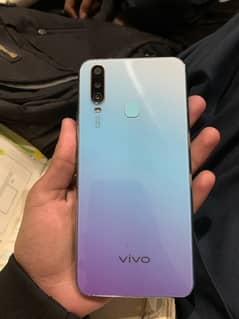 Vivo