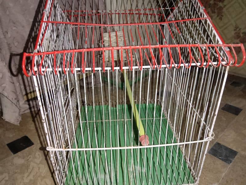 Bird's Cage 0