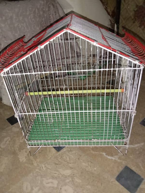 Bird's Cage 1